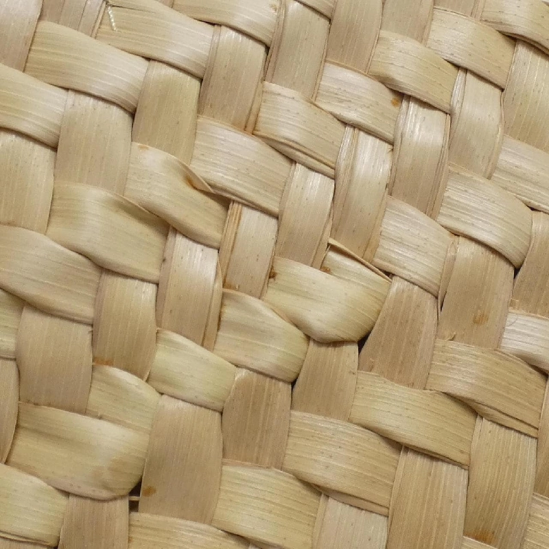 Túi Celine Teen Triomphe Panier 194002CGG 616516