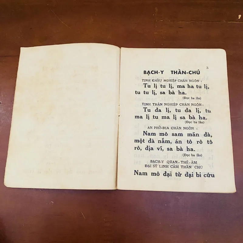 Bạch y thần chú (năm 1971) 723108