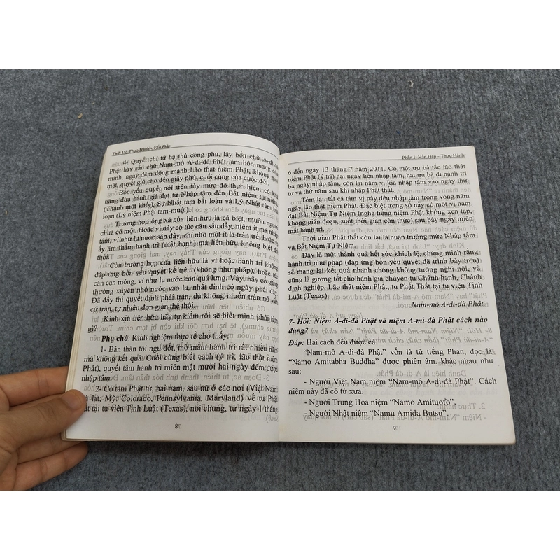 TỊNH ĐỘ THỰC HÀNH VẤN ĐÁP 494746