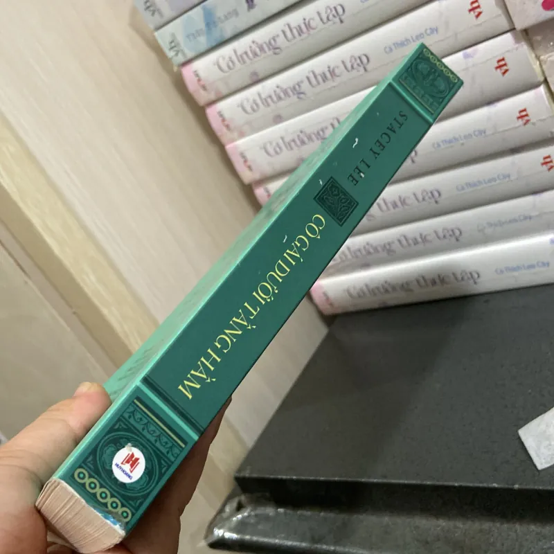 (Tiểu thuyết) - Cô gái dưới tầng hầm - Stacey Lee 990715