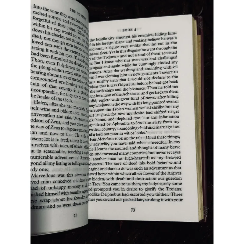 The Odyssey (bìa cứng khổ nhỏ)  999165