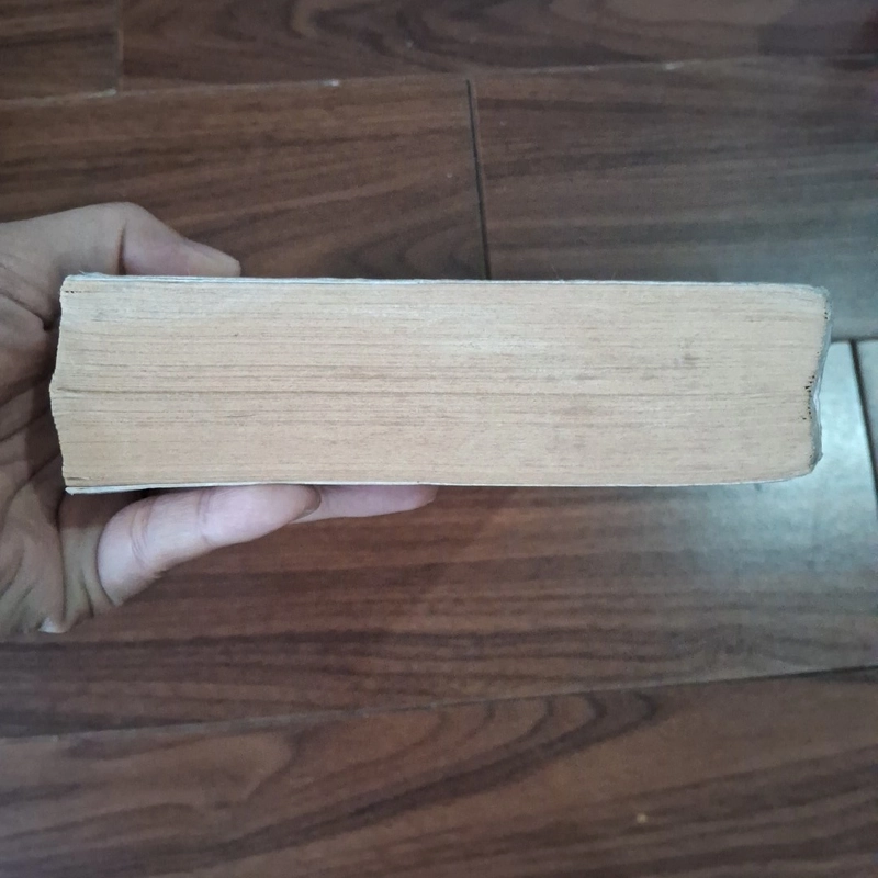 Cậu chủ hồ đồ 508830