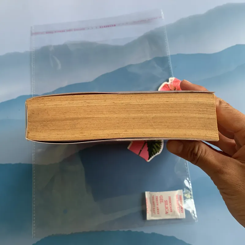 Đừng nói với anh ấy tôi vẫn còn yêu - Lục Xu 970572