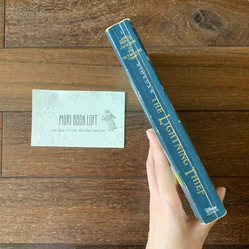 Sách ngoại văn The Lightning Thief, Used, trình độ đọc B1-B2 519485
