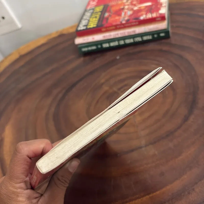 II Các Di Tích Lịch Sử, Văn Hoá Tín Ngưỡng Nổi Tiếng Ở Việt Nam - 2013 1022347