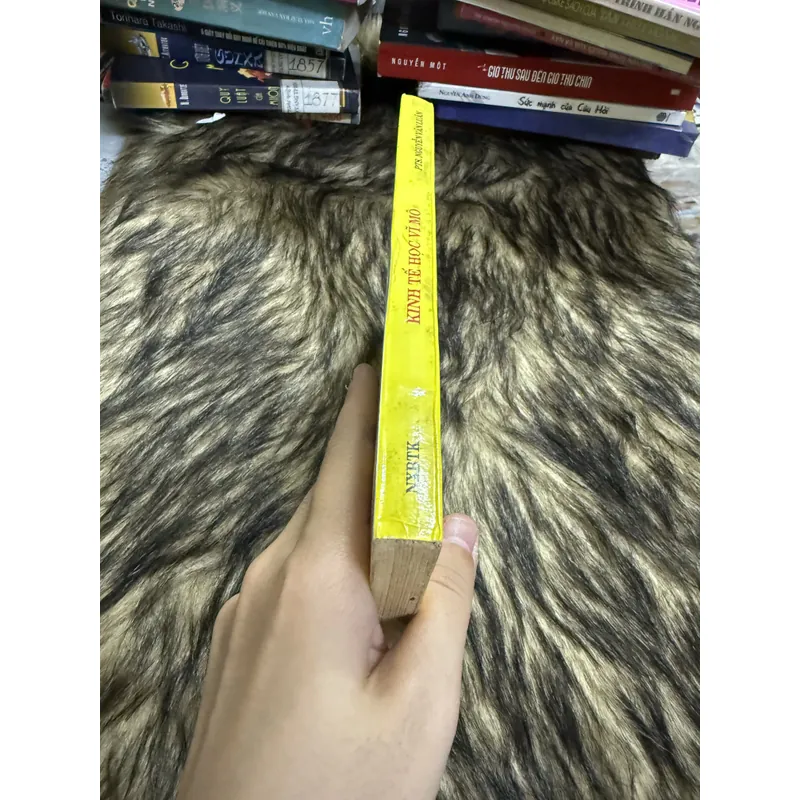 Kinh tế học vĩ mô  600712