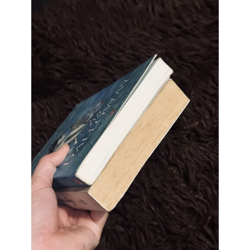 Combo Đến ngọn hải đăng + Bà Dalloway 1029335