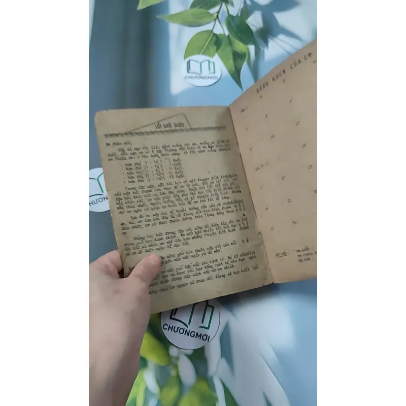 Những Truyện Tích Đầu Tiên Trong Kinh Thánh - Hội Thánh Tin Lành 775990