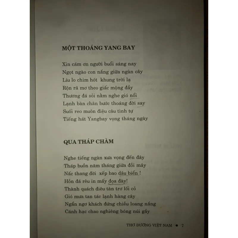 Thơ Đường Việt Nam 658111