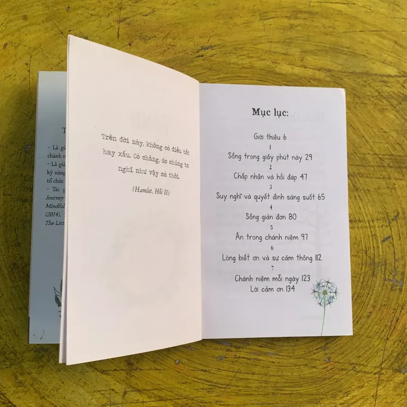 COMBO BÌNH TĨNH SỐNG & ĐIỀU DIỆU KỲ TỪ CÁCH NHÌN CUỘC SỐNG 790780