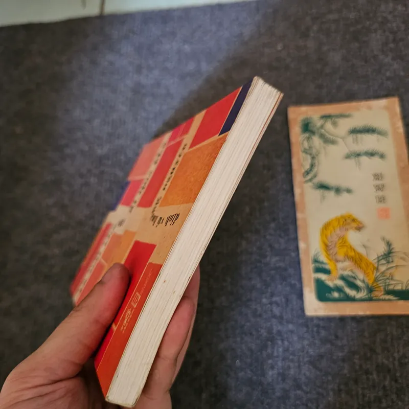 Có một phố vừa đi qua phố - Đinh Vũ Hoàng Nguyên 735177