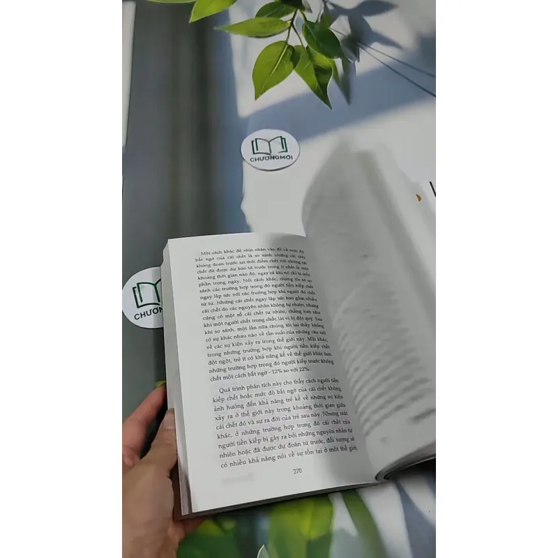 Tiền Kiếp - Có Hay Không? 705673