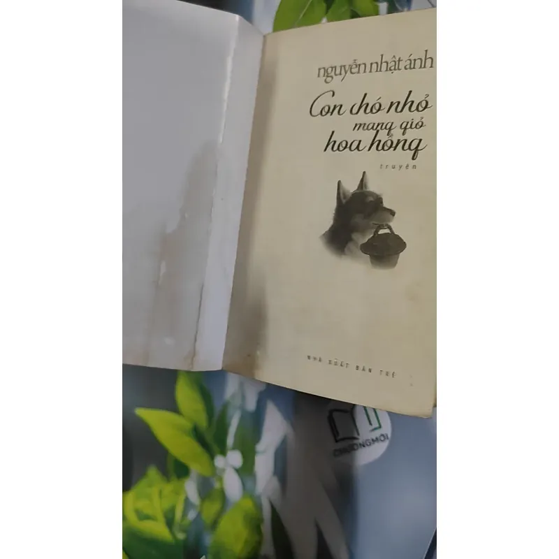 Con Chó Nhỏ Mang Giỏ Hoa Hồng - Nguyễn Nhật Ánh 798468