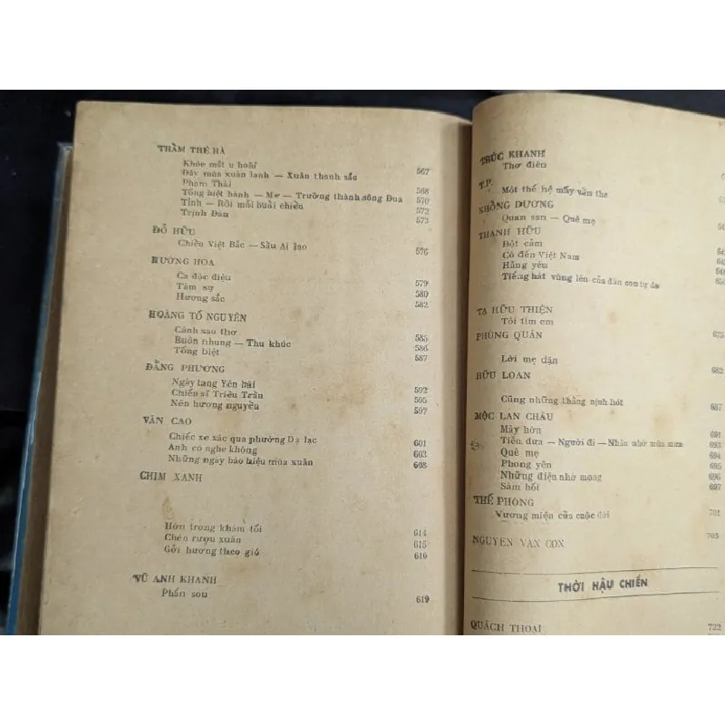 Thi ca việt nam hiện đại - Trần Tuấn kiệt 727107