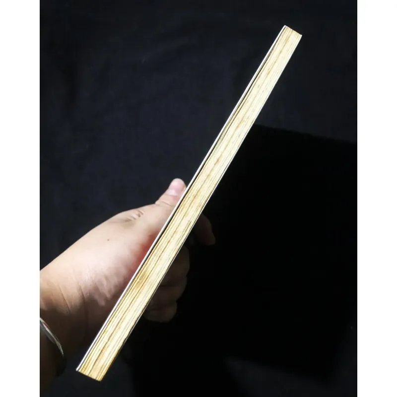 Sex Và Những Thứ Khác - Tâm Phan 759130