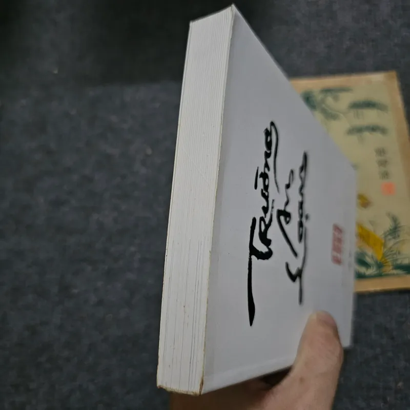 Trường An loạn 732888