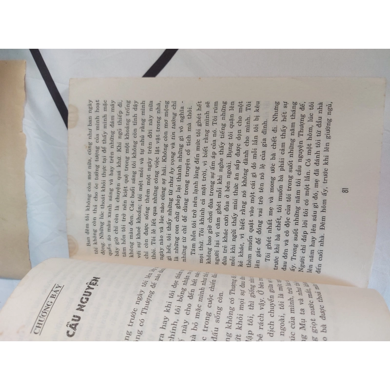 CHÚ BÉ LẠC LOÀI 493437