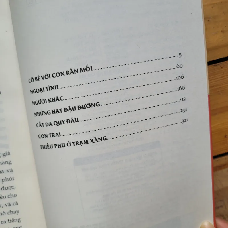 Những cuộc chạy trốn tình yêu - Bernhard Schlink 1002022