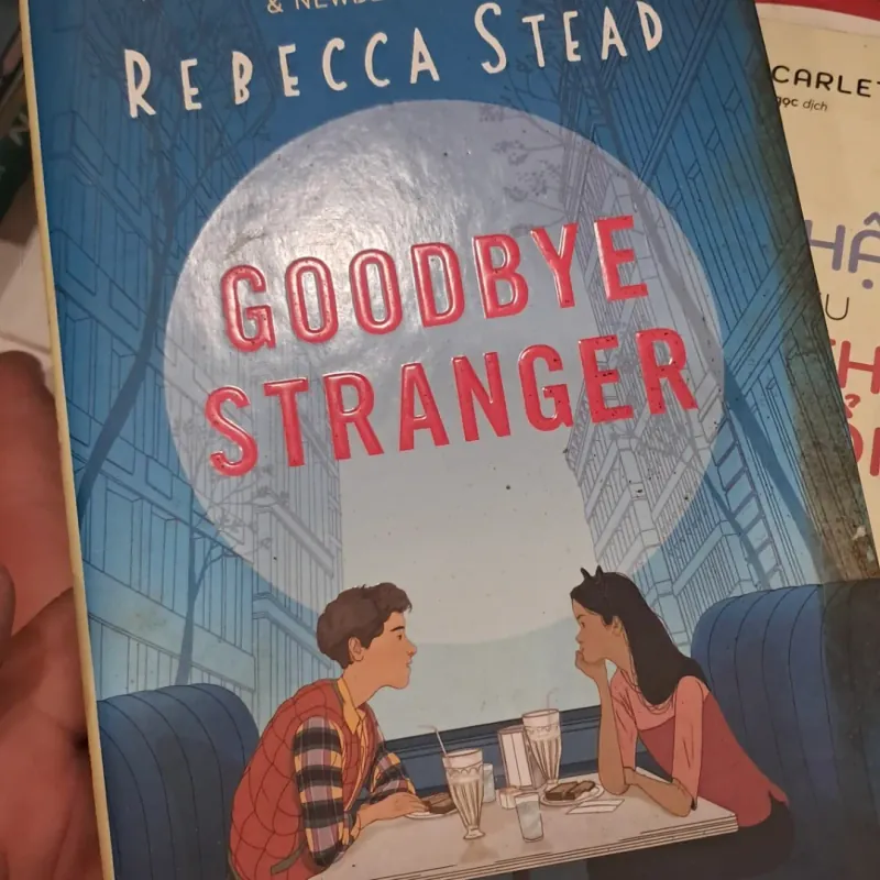 Goodbye Stranger 763807