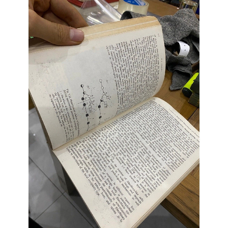 Problems of Developmental Biology 547334
