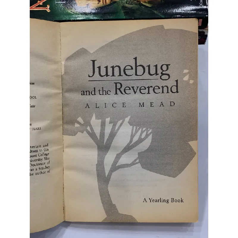 Junebug and the Reverend – Alice Mead 559629