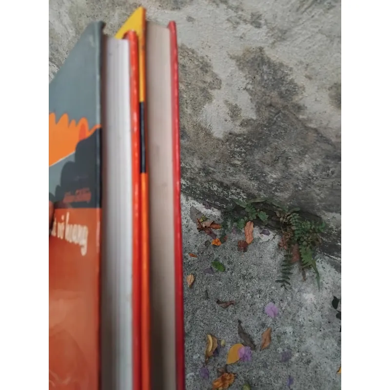 Đất vỡ hoang của Mikhail Solokhov 1031382