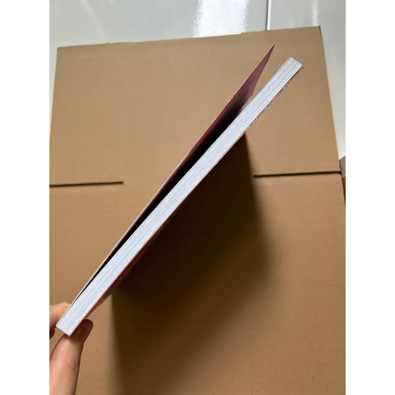 Dải sam - Laetitia Colombani 748075