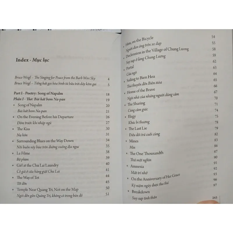 SAU MƯA THÔI NÃ ĐẠN - AFTER THE RAIN STOPPRED POUNDING 593337