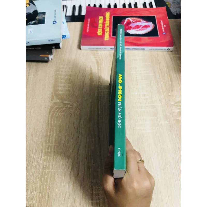 MÔ - PHỔI PHẦN MÔ  1013038