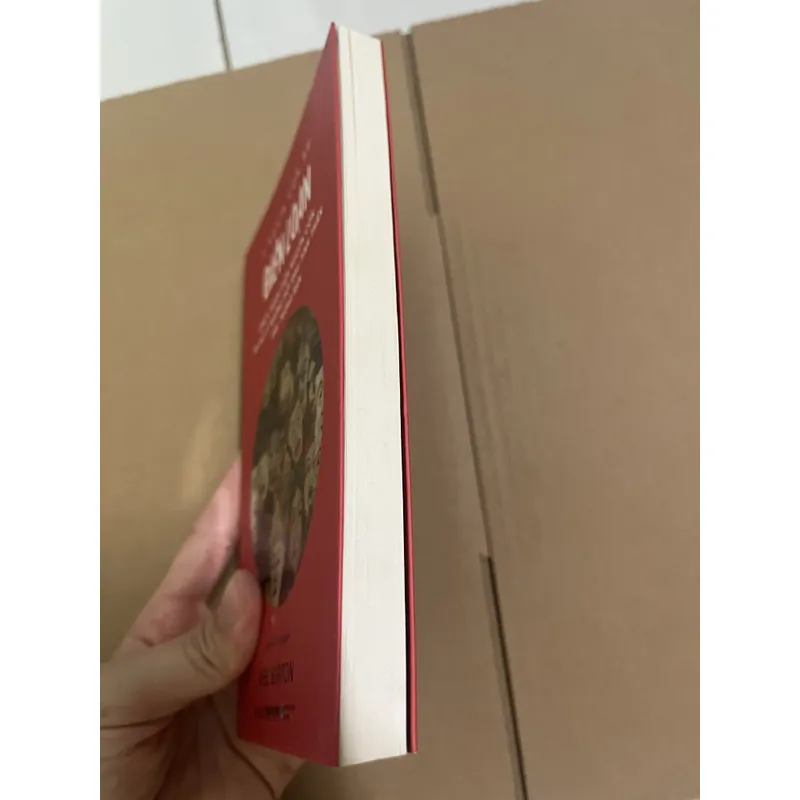 Ý nghãi của sự điên loạn - Neel Burton 729044