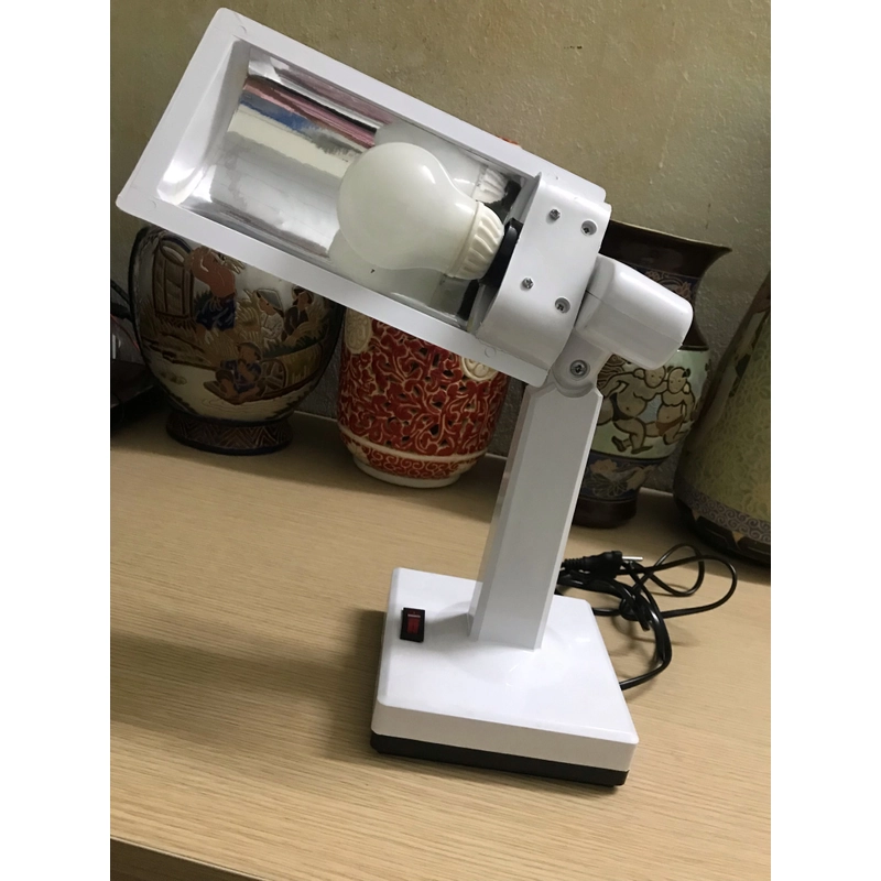 Đèn bàn học 460205
