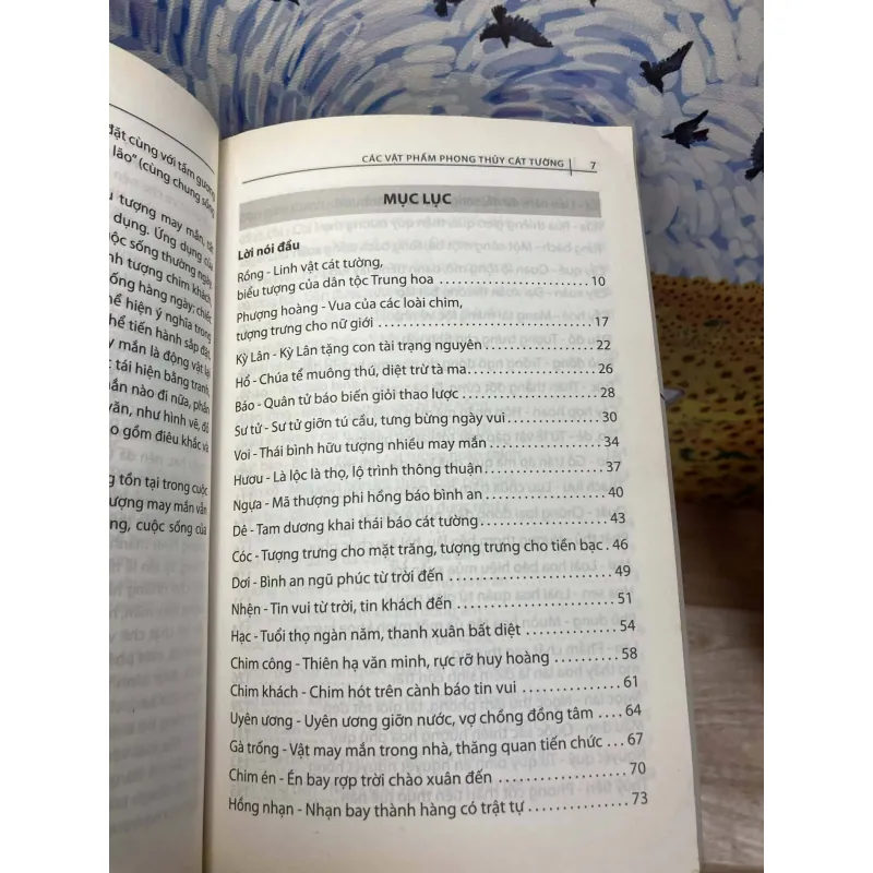 Các Vật Phẩm Phong Thủy Cát Tường 974711