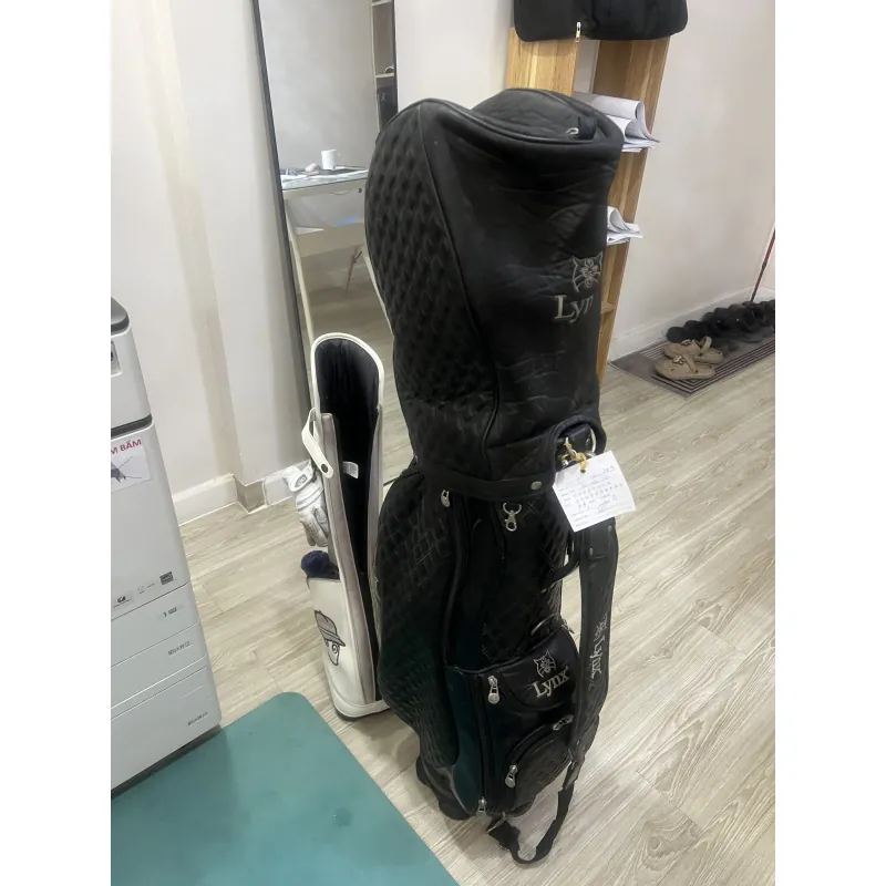 Dụng cụ chơi golf 1010868