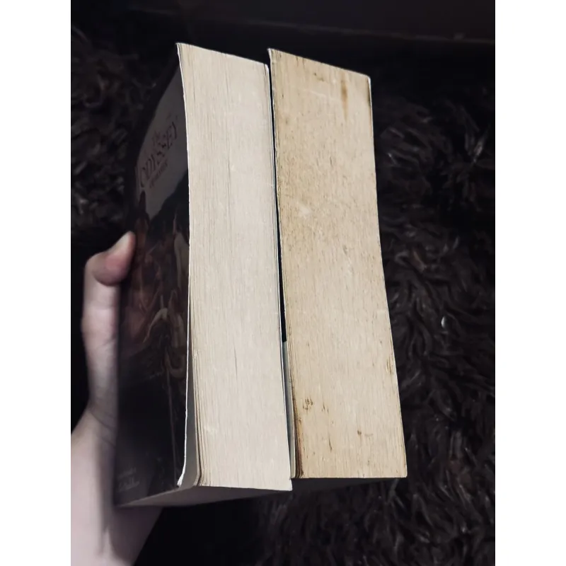 The Odyssey + The Iliad  996795