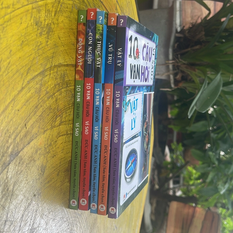 COMBO 10 VẠN CÂU HỎI VÌ SAO? 479348
