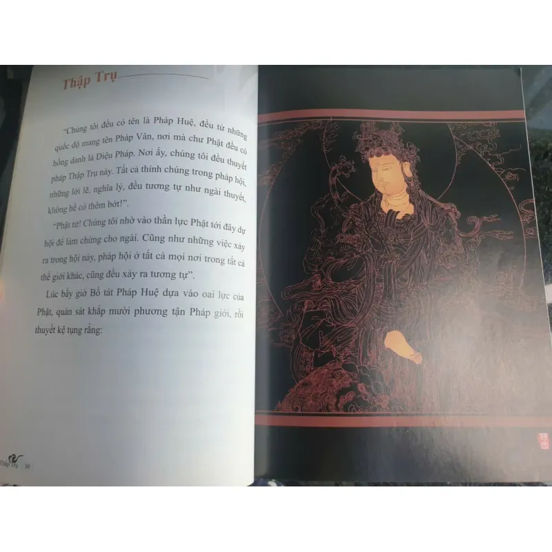 Kinh Hoa Nghiêm Phẩm Thập Trụ - Chính Văn và Lược Giải - Thầy Hằng Trường mới 90% 698198