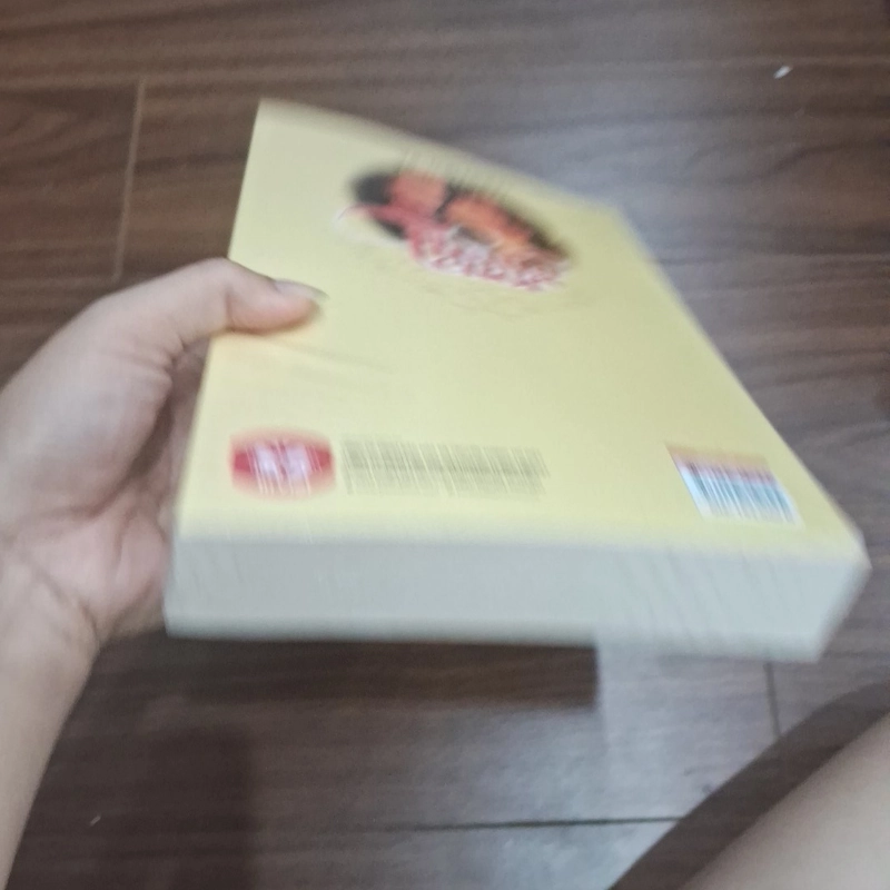 Thằng cười - victor hugo 506169