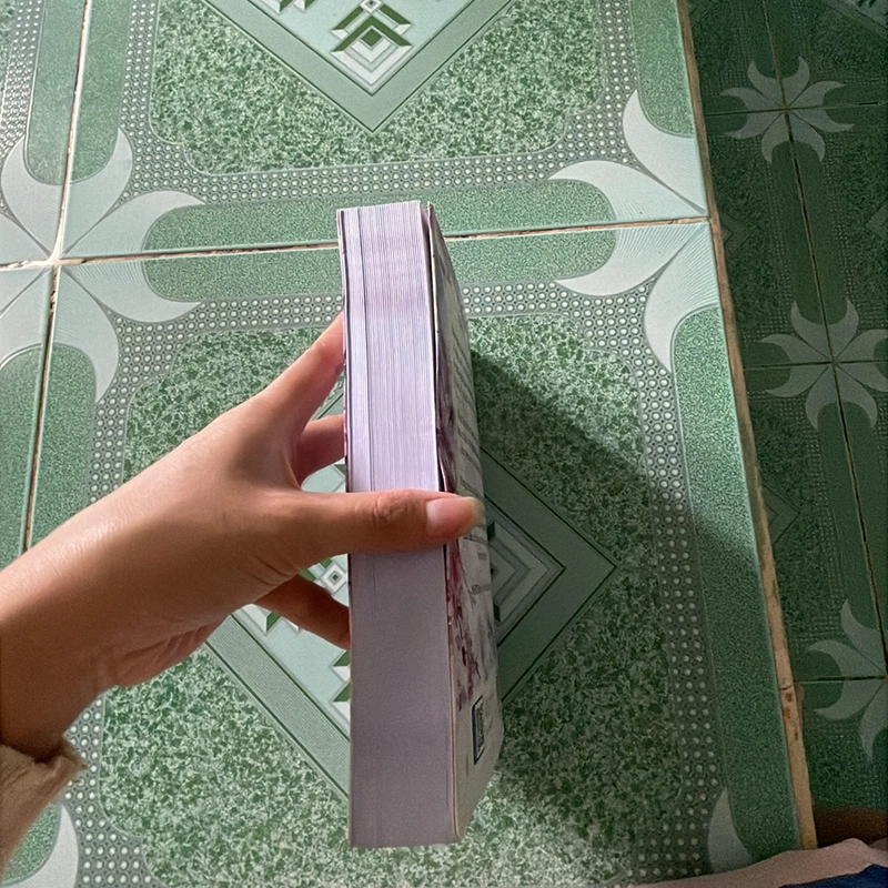 Sách hán tự chữ hán 442806