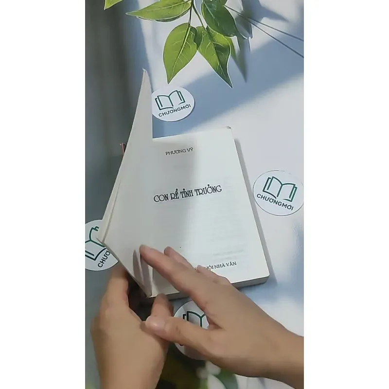 Con rể tỉnh trưởng - Phương Vỹ 695009