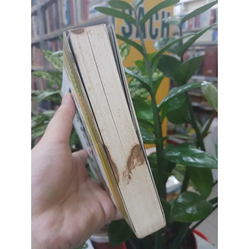 THỜI XA VẮNG - LÊ LỰU 1033457
