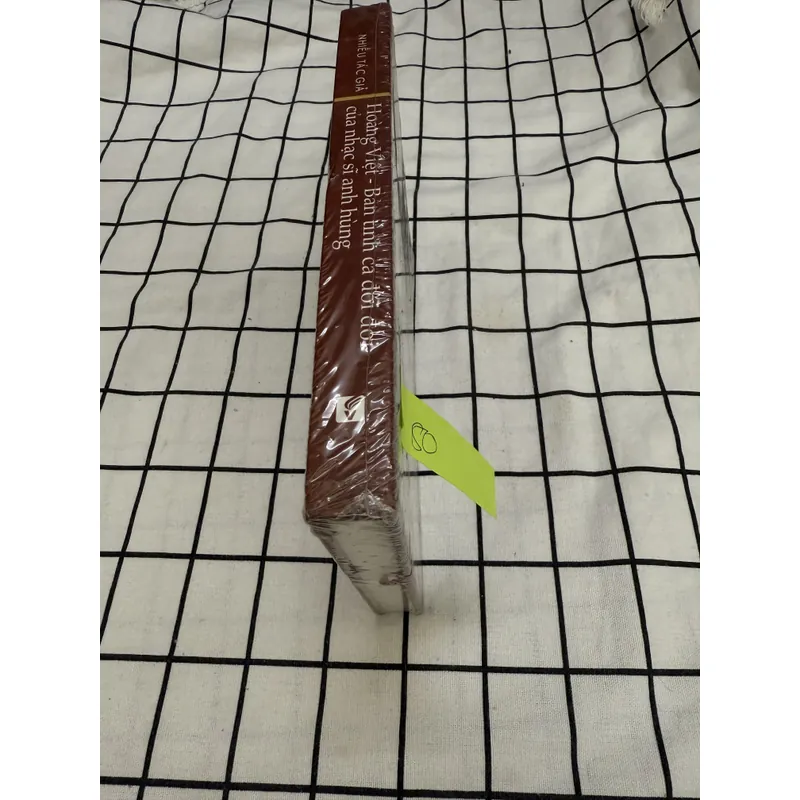 Bản tình ca đời đời của nhạc sĩ anh hùng 596887