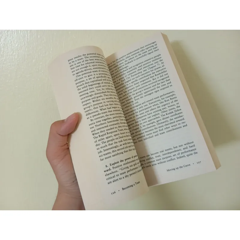 The wisdom of team english book sách tiếng Việt  996019