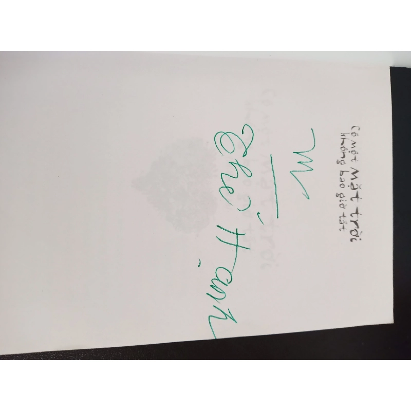 Có Một Mặt Trời Không Bao Giờ Tắt (2019) - Lê Dương Thể Hạnh Mới 90% HCM.ASB0403 913455