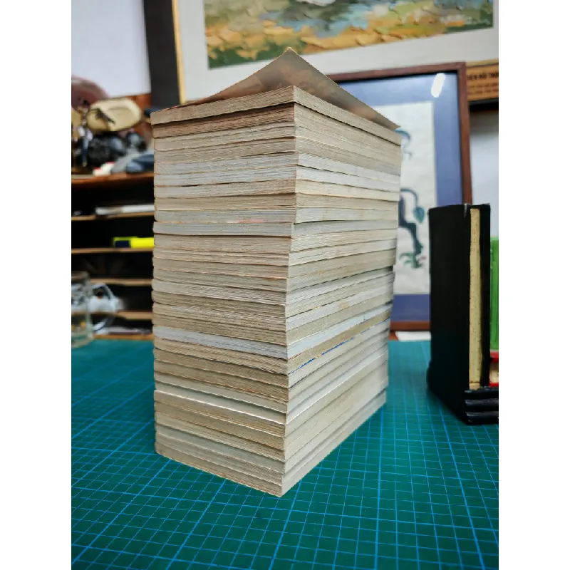 Truyện tranh Hunter x Hunter - Yoshihiro Togashi (full drop) 121107