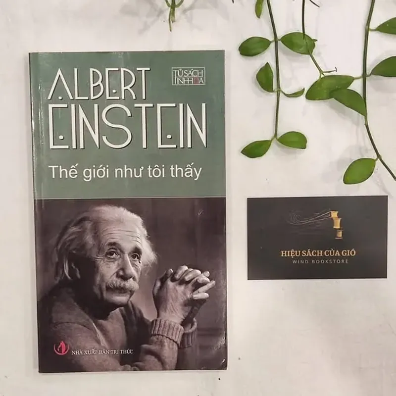 Thế giới như tôi thấy - Albert Einstein 675185