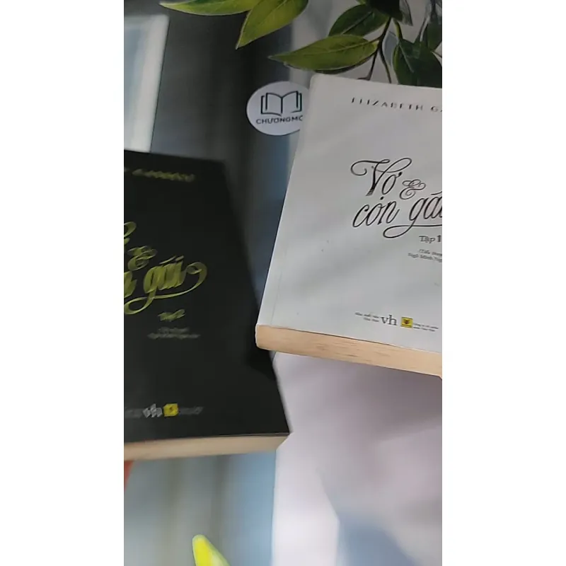 [MIỄN PHÍ BỌC SÁCH] Vợ và con gái ( Tập 1 + 2) (2016) - Elizabeth Gaskell 607675