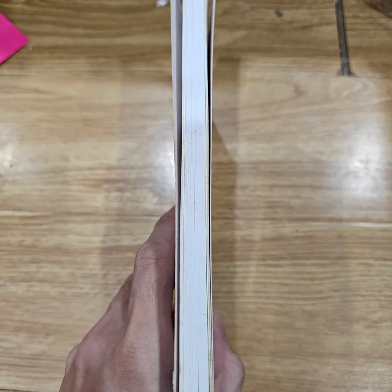 Hoa tuyết trắng 
 682864