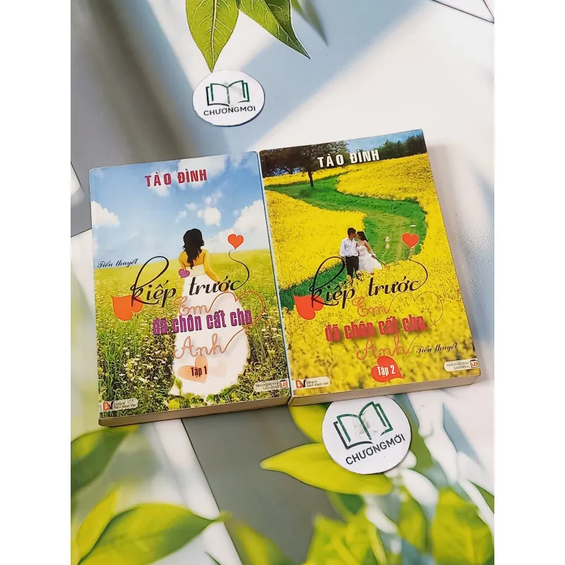 Bộ Kiếp Trước Em Đã Chôn Cất Cho Anh - Tào Đình 744693