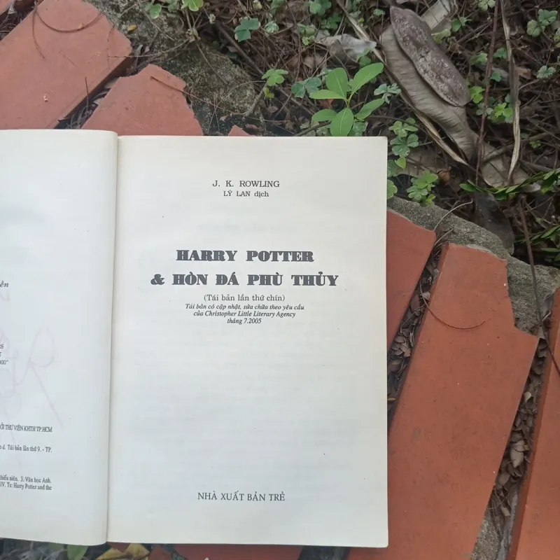 Harry Potter và hòn đá phù thủy 1031946