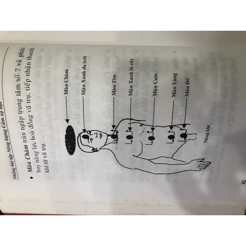 Cảm xạ học thực hành 762472